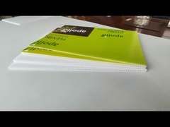 플라스틱 홀보드