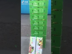 과일과 채소 상자