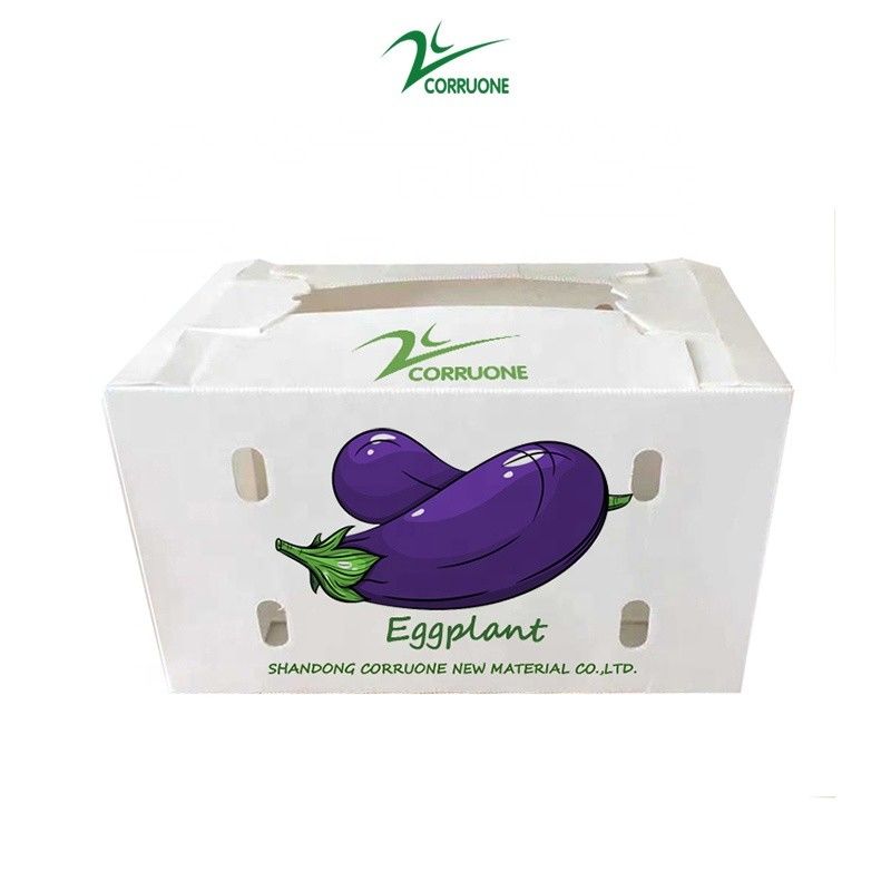 브로콜리 및 옥수수 상자에 대한 환경 친화적 인 유류 플라스틱 상자