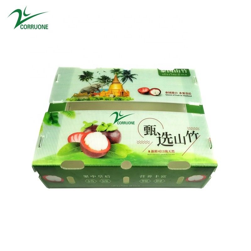 브로콜리 및 옥수수 상자에 대한 환경 친화적 인 유류 플라스틱 상자