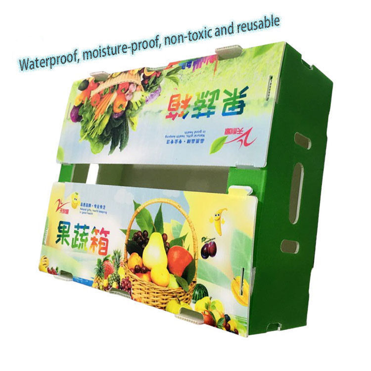 폴더블 공장 공급 재활용 폴더블 PP corrugated Coroplast 플라스틱 과일 채소 상자