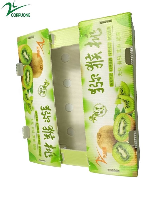 다양한 크기와 요구 사항에 맞게 사용자 정의 가능한 채소 노러브 상자