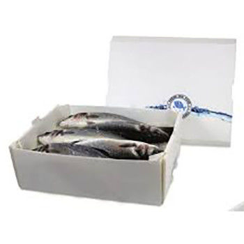 코루오네 PP 폴리프로필렌 5 KG & 10 KG 맞춤형 방수 냉동 고기 또는 해산물 포장 상자