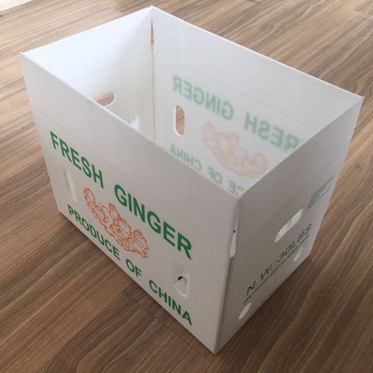 과일 채소 포장 PP 카튼플라스틱 포도 포장 상자 플라스틱 브로콜리 상자 융통 된 생강 잎