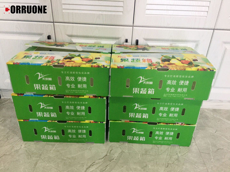 채소와 과일을 위한 PP 유선 플라스틱 상자 옥수수 브로콜리 및 농업 포장 상자