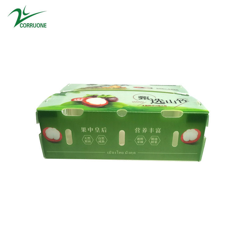 채소와 과일을위한 PP 유선 플라스틱 상자 Corflute 코렉스 옥수수 브로콜리 및 농업 포장 상자