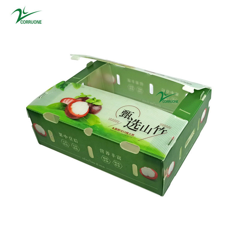 채소와 과일을위한 PP 유선 플라스틱 상자 Corflute 코렉스 옥수수 브로콜리 및 농업 포장 상자