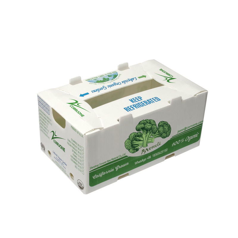 OEM 공장 생산 PP 신선한 달콤한 옥수수 브로콜리 달걀 식물 진저 상자를위한 플라스틱 유선 상자