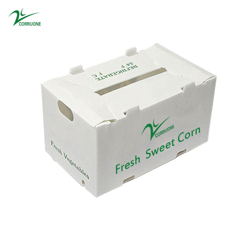 OEM 공장 생산 PP 신선한 달콤한 옥수수 브로콜리 달걀 식물 진저 상자를위한 플라스틱 유선 상자