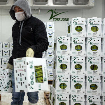 최적의 농업 산업 포장을 위한 고성능 과일 노러브 상자