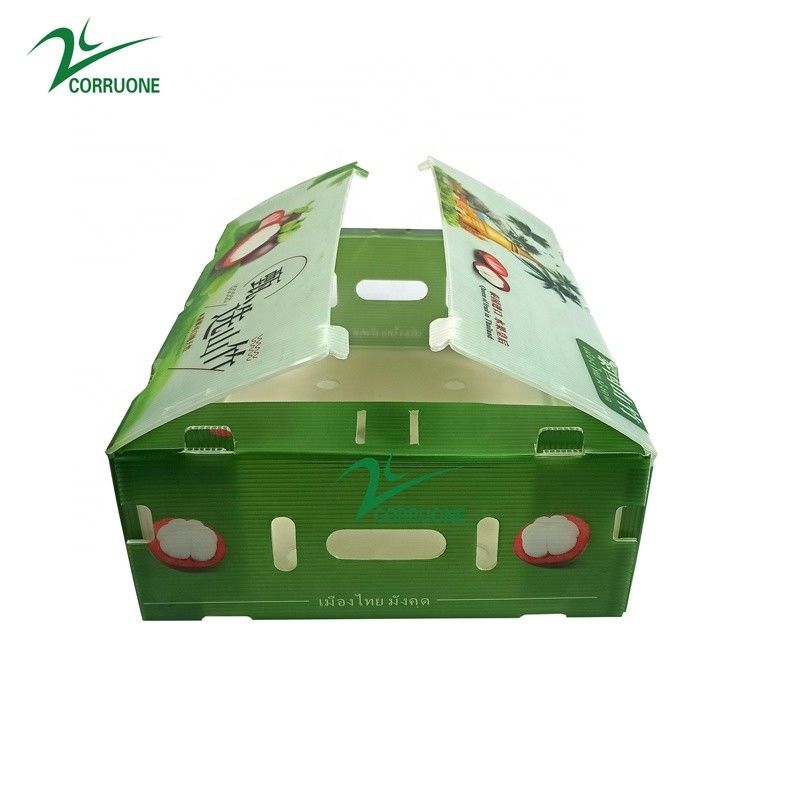 경량 코로플라스트 보드 2mm 두께 24