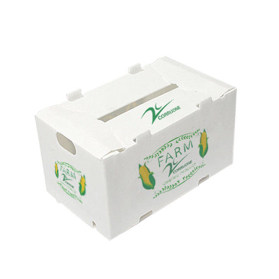 화학 저항성 코로플라스틱 인쇄 상자 산업용 및 달콤한 옥수수 상자